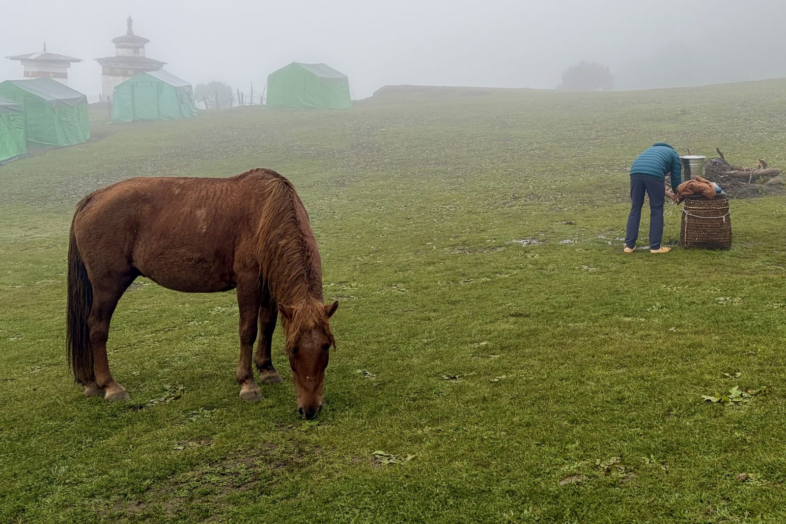 Een bruin paard graast op een groene weide in dichte mist, met groene tenten en twee witte chortens vaag op de achtergrond, en rechts iemand in een blauwe donsjas die zich over een gevlochten mand buigt.