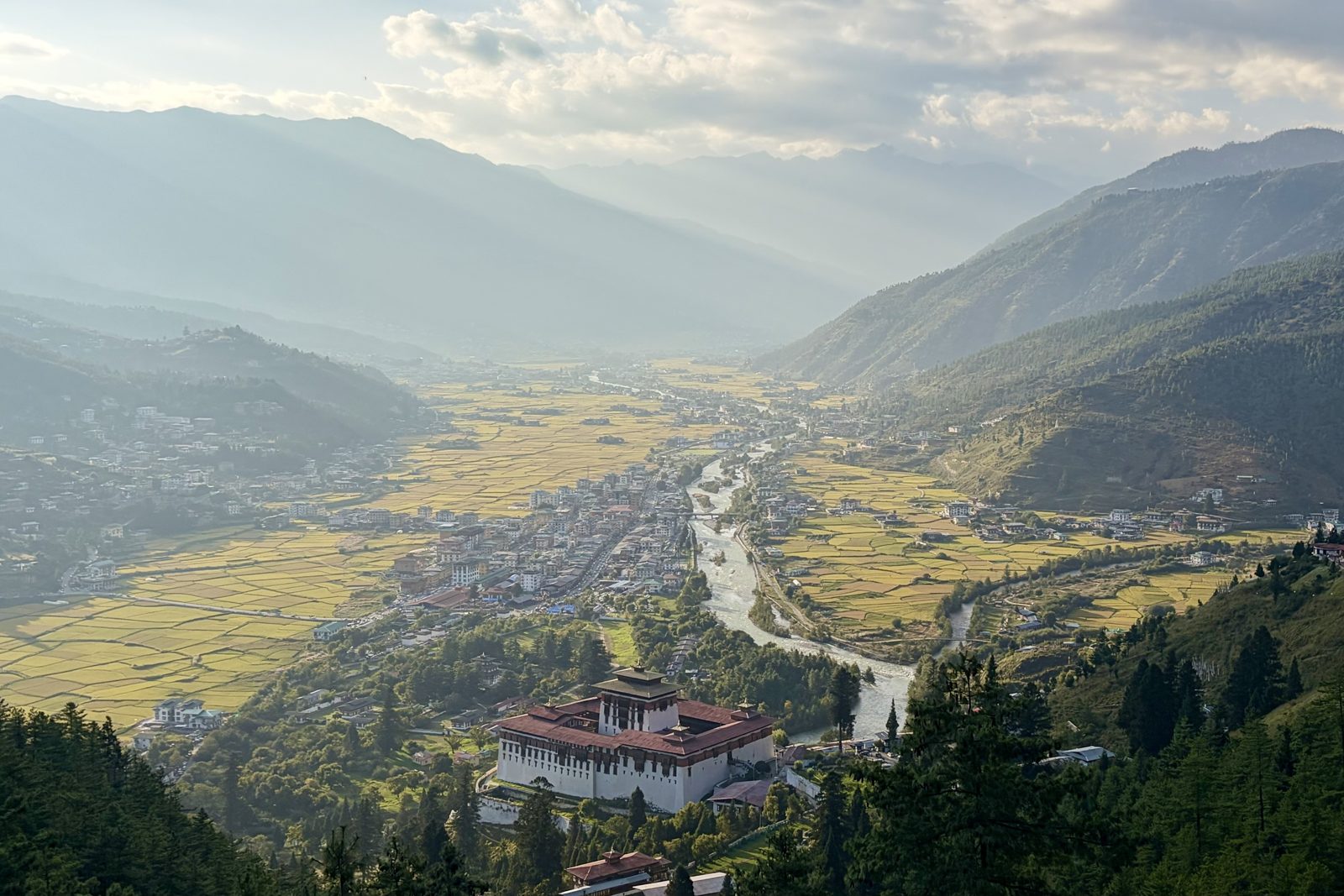 Hoog uitzicht over de vallei van Paro bij laag avondlicht: goudgele rijstvelden, het stadje langs de rivier, en vooraan de grote witte Rinpung Dzong met rode daken, met bergen in de nevel.