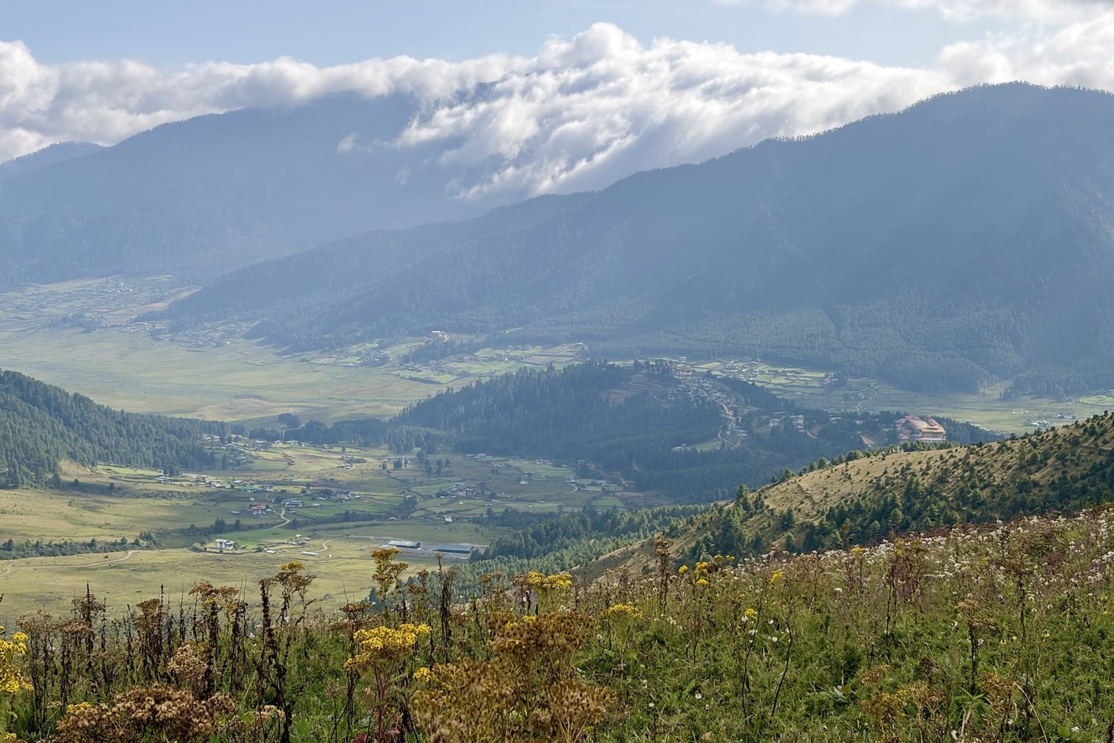 Uitzicht vanaf een hoge helling met gele en witte wilde bloemen over de brede vallei van Phobjikha: graslanden, velden en verspreide boerderijen, een beboste heuvelrug met een klooster erop, en bergen met wolken op de kammen.