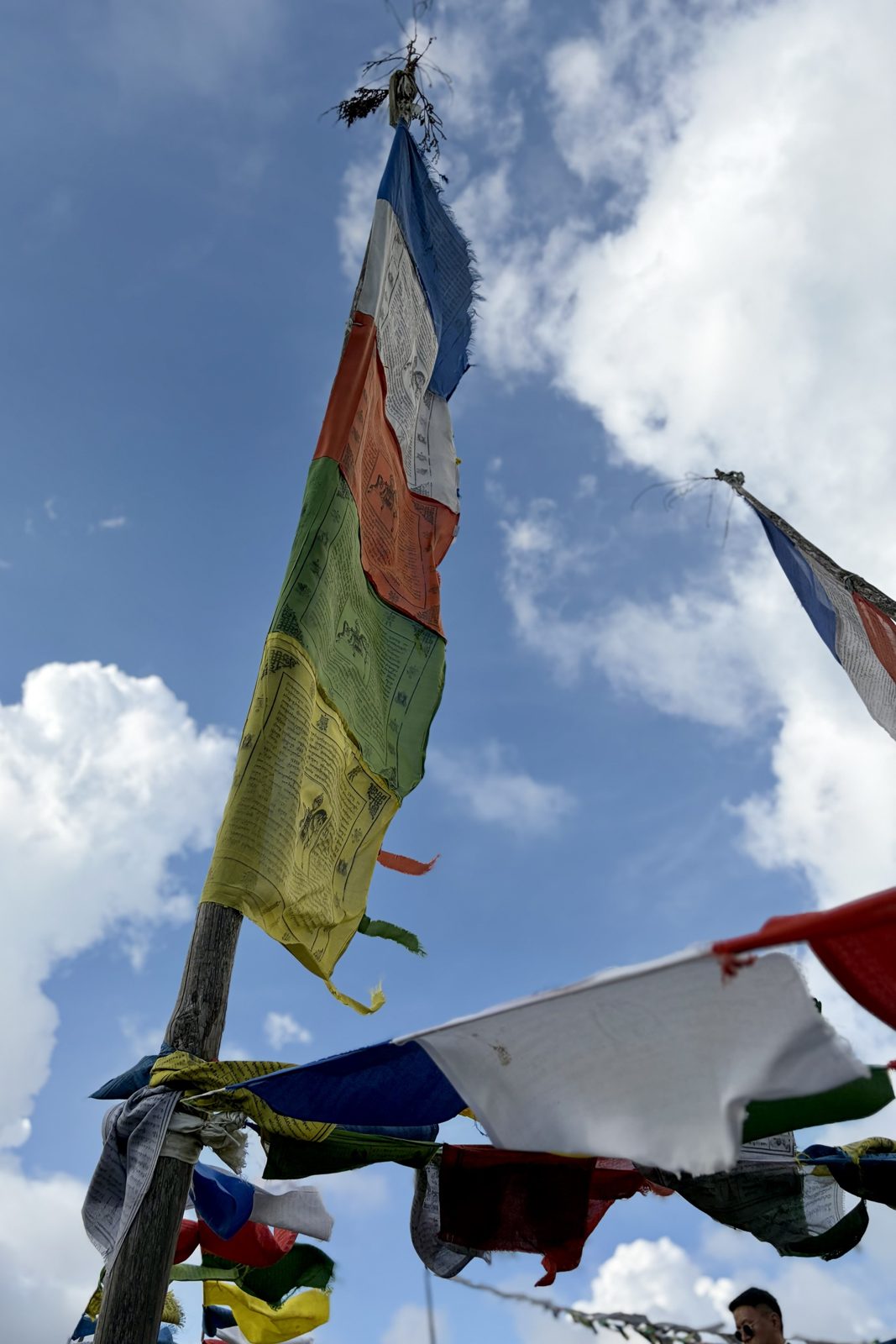 Van onderen gezien: een lange verticale gebedsvlag in vijf kleuren, bedrukt met tekst en kleine afbeeldingen van een paard, aan een houten paal tegen een blauwe lucht met wolken.
