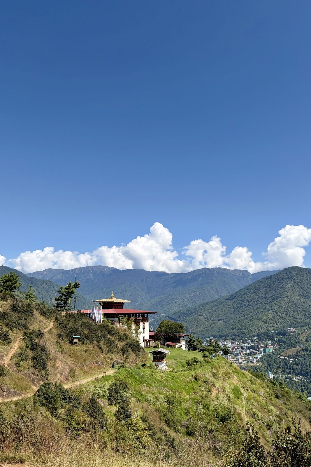 Een witte tempel met een rood dak en een gouden spits op een grazige bergkam onder een diepblauwe hemel, beboste bergen erachter en rechts beneden de gebouwen van Thimphu, uitgespreid langs de vallei.
