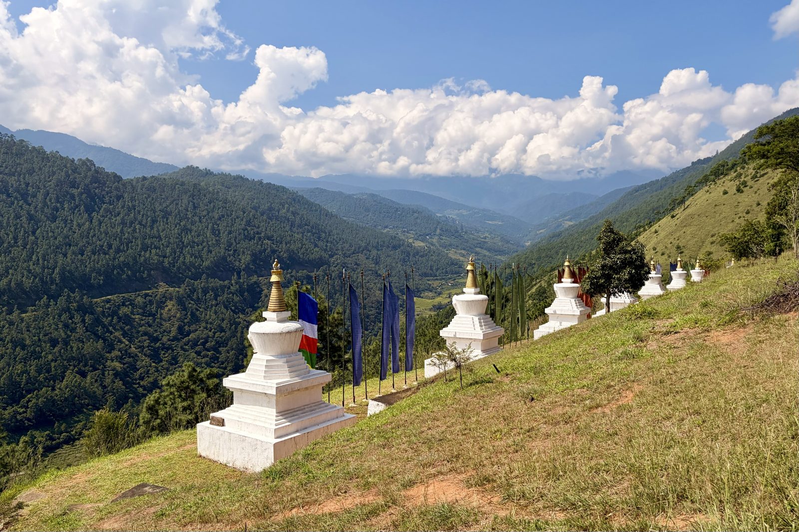 Een rij kleine witte chortens met gouden spitsen en blauwe gebedsvlaggen op een grazige helling, met diep daaronder een beboste vallei en witte stapelwolken boven de bergen.